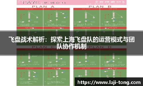 飞盘战术解析：探索上海飞盘队的运营模式与团队协作机制