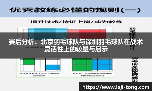 赛后分析：北京羽毛球队与深圳羽毛球队在战术灵活性上的较量与启示