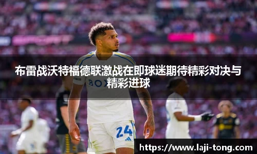 江南·综合体育
