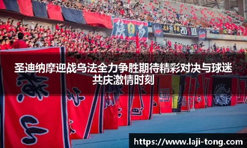 JN体育官网
